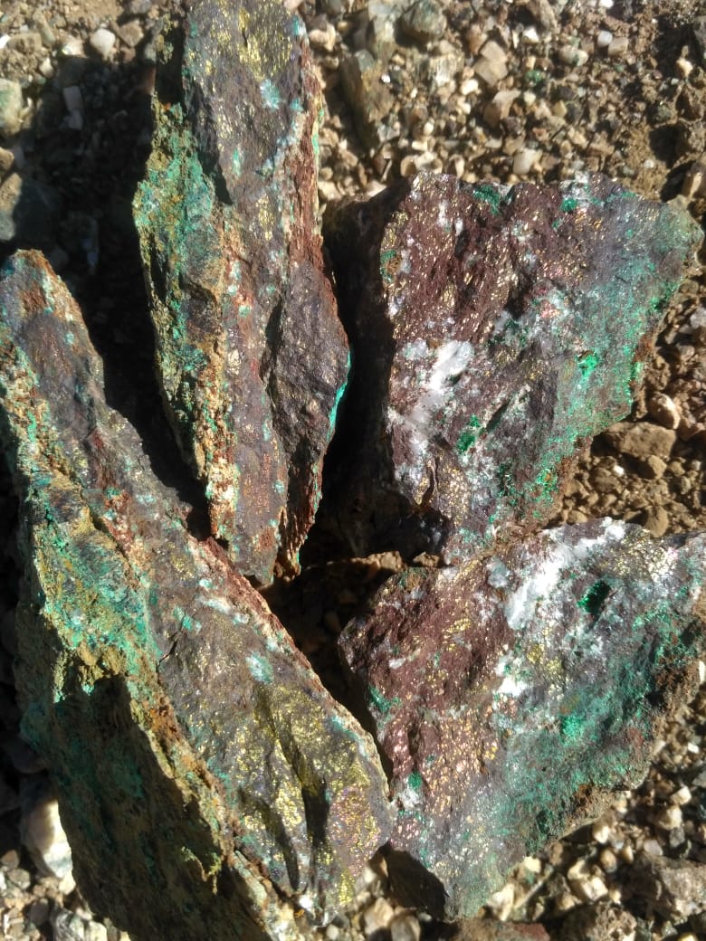Échantillons polymétalliques cuivre-pyrite